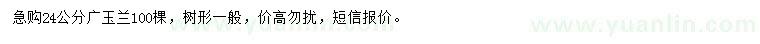 求購24公分廣玉蘭