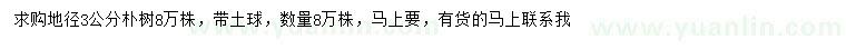 求購地徑3公分樸樹