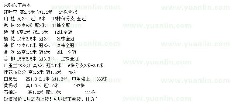 求購(gòu)紅葉李、山楂、楸樹等