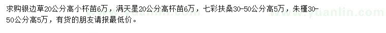 求購銀邊草、滿天星、七彩扶桑等