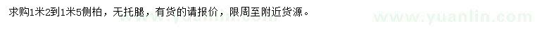 求購(gòu)1.2-1.5米側(cè)柏