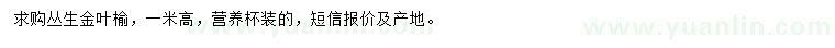 求購(gòu)高1米叢生金葉榆