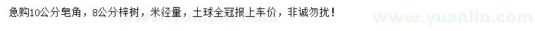 求購10公分皂角、8公分梓樹