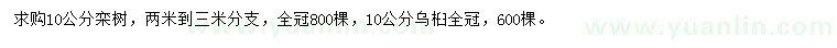 求購10公分欒樹、烏桕
