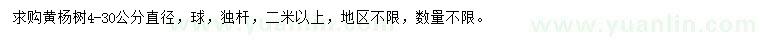 求購4-30公分黃楊樹
