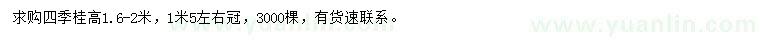求購高1.6-2米四季桂