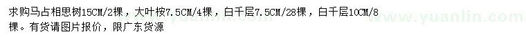 求購馬占相思樹、大葉桉、白千層