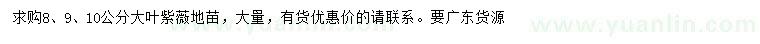 求購8、9、10公分大葉紫薇