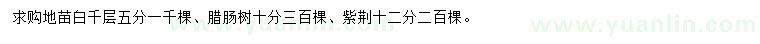 求購(gòu)白千層、臘腸樹、紫荊