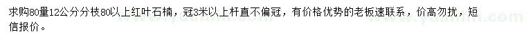 求購80量12公分紅葉石楠