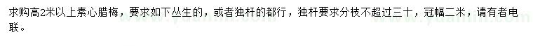 求購(gòu)高2米以上素心臘梅