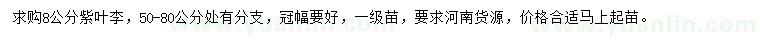 求購8公分紫葉李