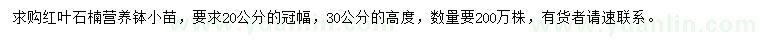 求購(gòu)紅葉石楠營(yíng)養(yǎng)缽小苗