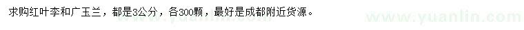 求購3公分紅葉李、廣玉蘭
