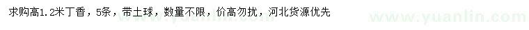求購(gòu)高1.2米丁香