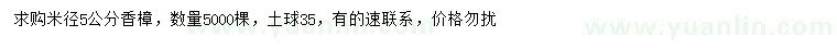 求購米徑5公分香樟