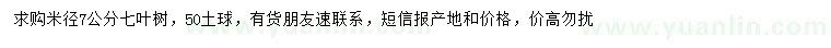 求購米徑7公分七葉樹