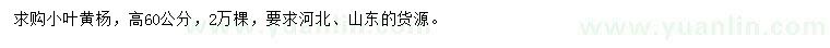 求購高60公分小葉黃楊