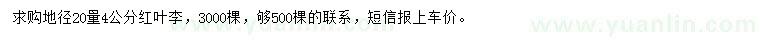求購地徑20量4公分紅葉李