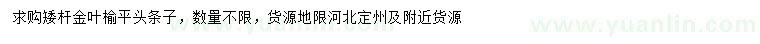 求購金葉榆條子