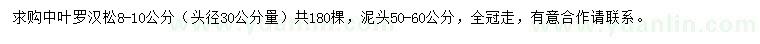 求購50-60公分中葉羅漢松
