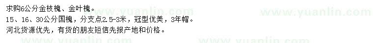 求購金枝槐、金葉槐、國槐