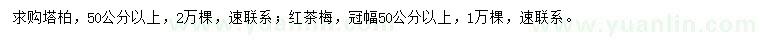 求購塔柏、紅茶梅