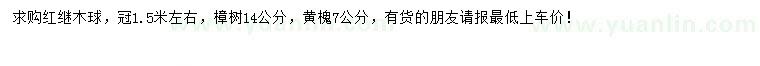 求購(gòu)紅繼木球、樟樹(shù)、黃槐