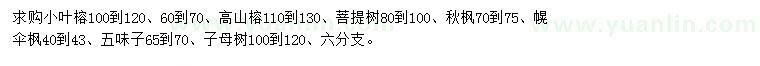 求購(gòu)小葉榕、高山榕、菩提樹等