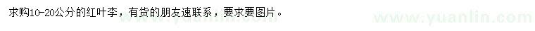 求購10-20公分紅葉李