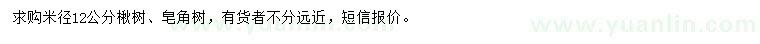 求購(gòu)米徑12公分楸樹、皂角樹
