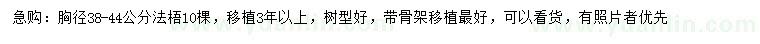 求購胸徑38-44公分法梧