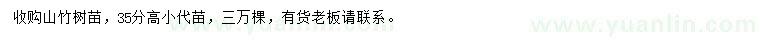 求購(gòu)高35公分山竹樹(shù)苗