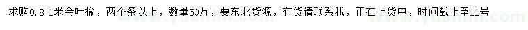 求購(gòu)高0.8-1米金葉榆