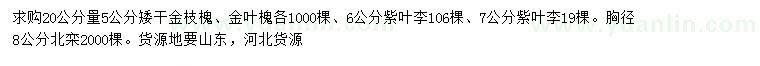 求購金枝槐、金葉槐、紫葉李等