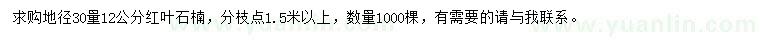 求購地徑30量12公分紅葉石楠
