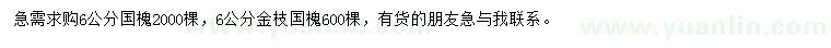 求購6公分國槐、金枝國槐