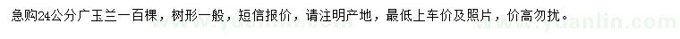 求購(gòu)24公分廣玉蘭