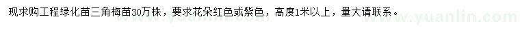 求購1米以上三角梅苗