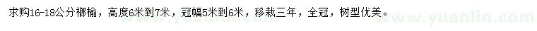求購16-18公分榔榆