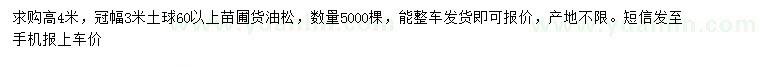 求購高4米油松