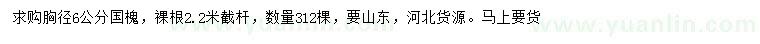 求購(gòu)胸徑6公分國(guó)槐