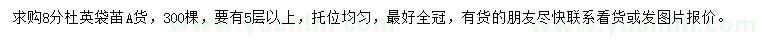 求購8公分杜英袋苖