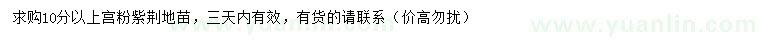 求購10公分以上宮粉紫荊地苗