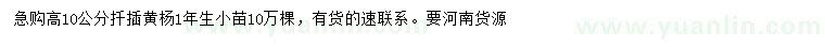求購高10公分黃楊苗