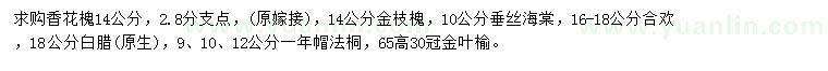 求購香花槐、金枝槐、垂絲海棠等