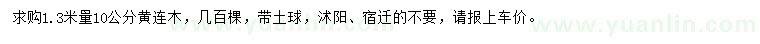 求購1.3米量10公分黃連木