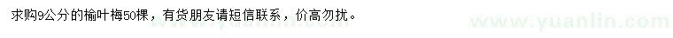 求購(gòu)9公分榆葉梅