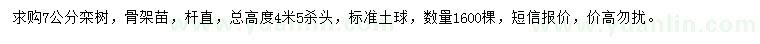 求購7公分欒樹