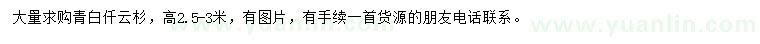 求購高2.5-3米青白仟云杉